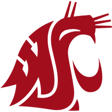 Washington State Logo